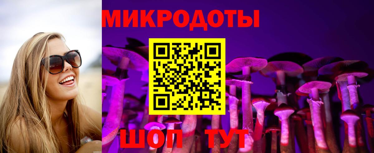 Псилоцибиновые грибы мухоморы Дзержинск